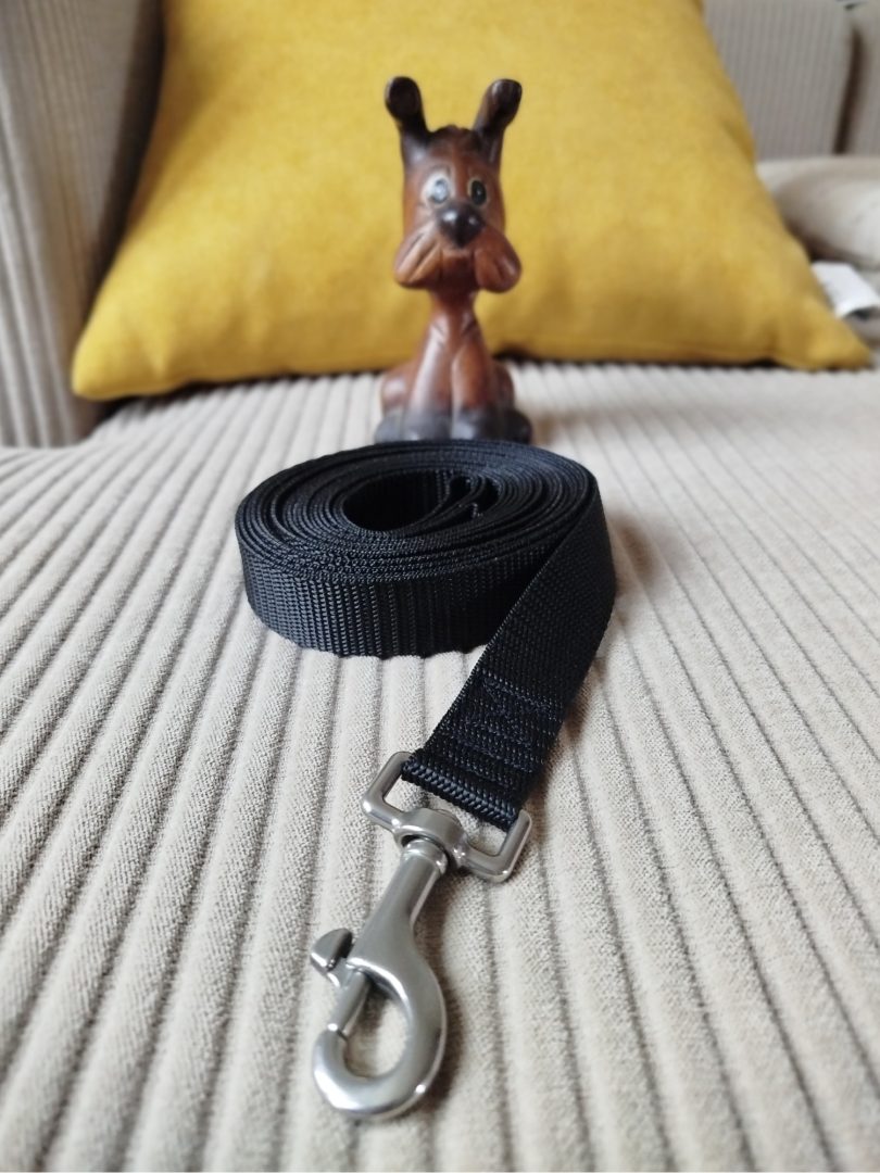 oncille longe pour chien noire